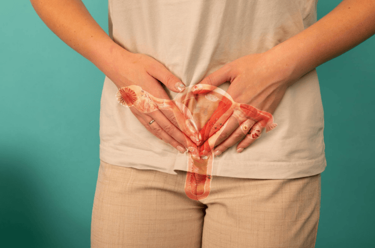 Overview Hormonal imbalance affecting menstrual cycle, ovulation, and fertility. Ayurvedic Care Panchakarma detox Hormone-regulating medicines Menstrual cycle balancing diet Women’s Hormonal Balance Treatment Detoxification Herbal hormone stabilizers Cycle normalization therapies